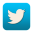 Twitter logo-32